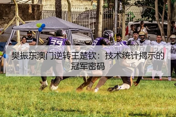 樊振东澳门逆转王楚钦：技术统计揭示的冠军密码